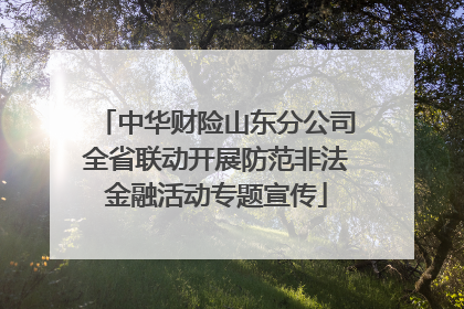 中华财险山东分公司全省联动开展防范非法金融活动专题宣传