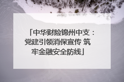 中华财险锦州中支：党建引领消保宣传 筑牢金融安全防线