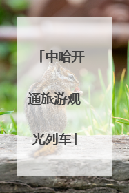 中哈开通旅游观光列车