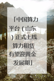 中国算力平台（山东）正式上线 算力租赁有望迎黄金发展期