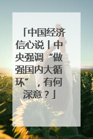 中国经济信心说丨中央强调“做强国内大循环”，有何深意？
