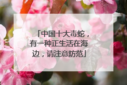 中国十大毒蛇，有一种正生活在海边，请注意防范