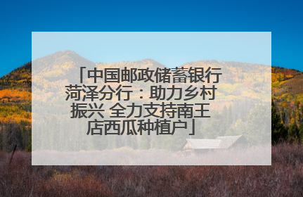 中国邮政储蓄银行菏泽分行：助力乡村振兴 全力支持南王店西瓜种植户