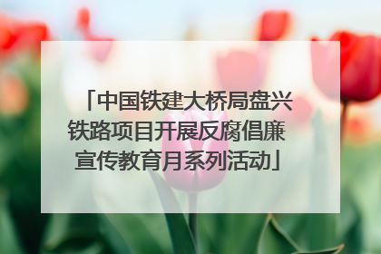 中国铁建大桥局盘兴铁路项目开展反腐倡廉宣传教育月系列活动