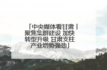中央媒体看甘肃丨聚焦集群建设 加快转型升级 甘肃支柱产业增势强劲
