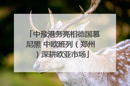 中豫港务亮相德国慕尼黑 中欧班列（郑州）深耕欧亚市场