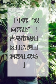 中韩“双向奔赴”！青岛市城阳区打造跨国消费狂欢场