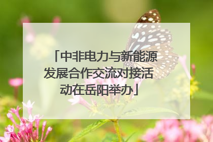 中非电力与新能源发展合作交流对接活动在岳阳举办