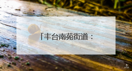 丰台南苑街道：邀请快递小哥逛“端午大集”