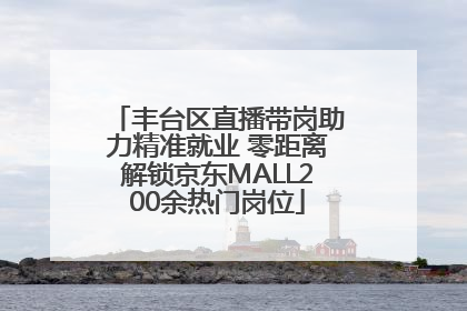 丰台区直播带岗助力精准就业 零距离解锁京东MALL200余热门岗位