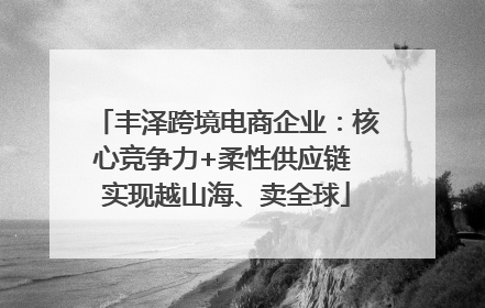 丰泽跨境电商企业：核心竞争力+柔性供应链 实现越山海、卖全球