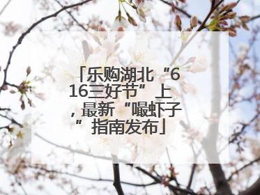 乐购湖北“616三好节”上，最新“嘬虾子”指南发布
