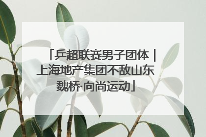 乒超联赛男子团体｜上海地产集团不敌山东魏桥·向尚运动