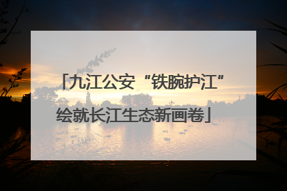 九江公安“铁腕护江”绘就长江生态新画卷