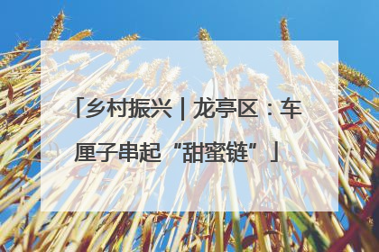 乡村振兴｜龙亭区：车厘子串起“甜蜜链”