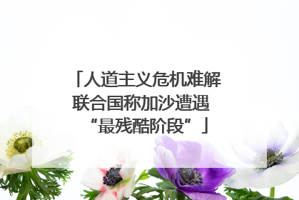 人道主义危机难解 联合国称加沙遭遇“最残酷阶段”