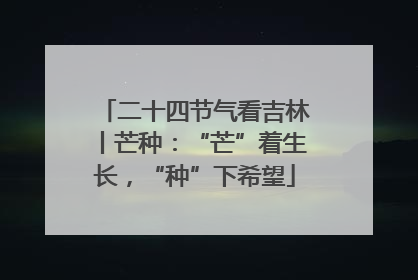 二十四节气看吉林丨芒种：“芒”着生长，“种”下希望