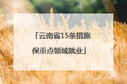 云南省15条措施保重点领域就业