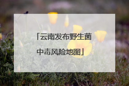 云南发布野生菌中毒风险地图