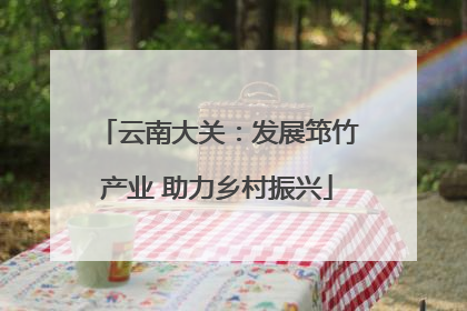 云南大关：发展筇竹产业 助力乡村振兴