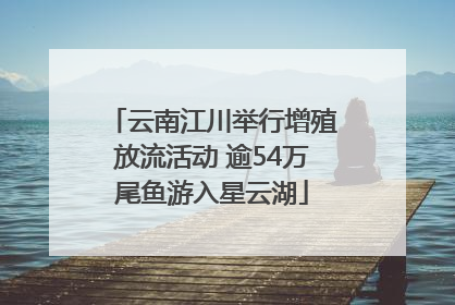 云南江川举行增殖放流活动 逾54万尾鱼游入星云湖