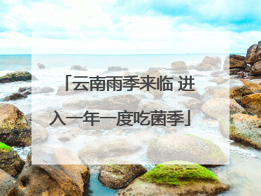 云南雨季来临 进入一年一度吃菌季