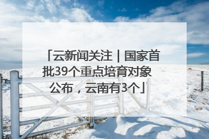 云新闻关注｜国家首批39个重点培育对象公布，云南有3个