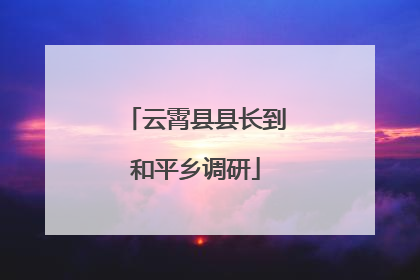 云霄县县长到和平乡调研