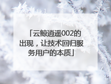 云鲸逍遥002的出现，让技术回归服务用户的本质