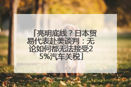 亮明底线？日本贸易代表赴美谈判：无论如何都无法接受25%汽车关税