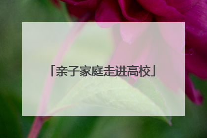 亲子家庭走进高校