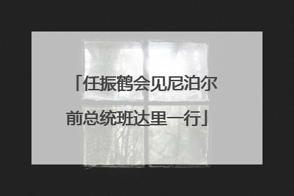 任振鹤会见尼泊尔前总统班达里一行