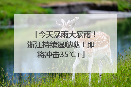 今天暴雨大暴雨！浙江持续湿哒哒！即将冲击35℃+