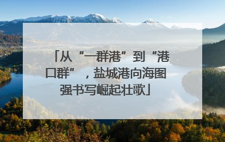 从“一群港”到“港口群”，盐城港向海图强书写崛起壮歌