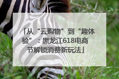 从“云购物”到“趣体验”：黑龙江618电商节解锁消费新玩法