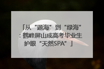 从“题海”到“绿海”：鹤峰屏山成高考毕业生护眼“天然SPA”