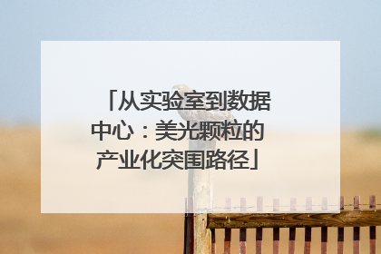 从实验室到数据中心：美光颗粒的产业化突围路径