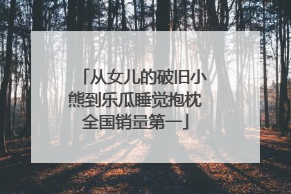 从女儿的破旧小熊到乐瓜睡觉抱枕全国销量第一