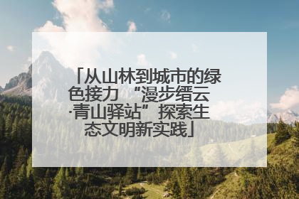 从山林到城市的绿色接力 “漫步缙云·青山驿站”探索生态文明新实践