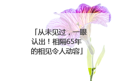 从未见过，一眼认出！相隔65年的相见令人动容