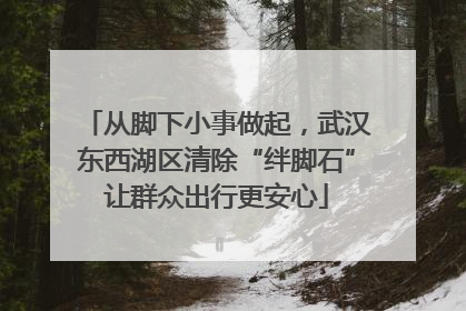 从脚下小事做起，武汉东西湖区清除“绊脚石”让群众出行更安心