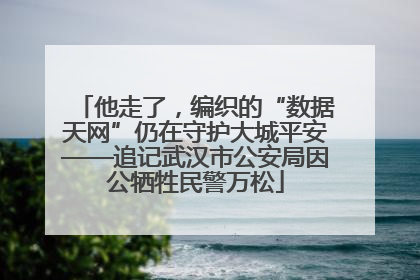 他走了，编织的“数据天网”仍在守护大城平安——追记武汉市公安局因公牺牲民警万松