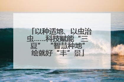 以种适地、以虫治虫……科技赋能“三夏” “智慧种地”绘就好“丰”景