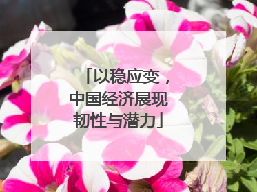 以稳应变，中国经济展现韧性与潜力