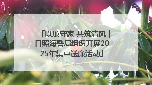 以廉守家 共筑清风｜日照海警局组织开展2025年集中送廉活动