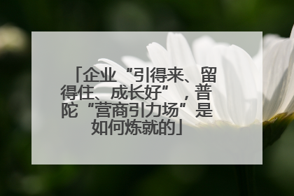 企业“引得来、留得住、成长好”，普陀“营商引力场”是如何炼就的