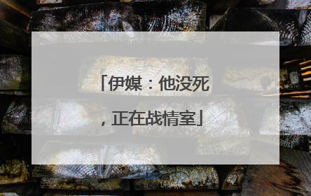 伊媒：他没死，正在战情室