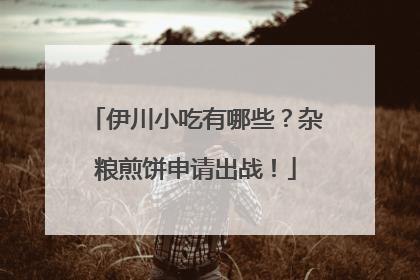 伊川小吃有哪些？杂粮煎饼申请出战！
