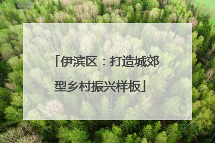 伊滨区：打造城郊型乡村振兴样板