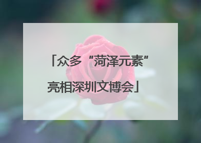 众多“菏泽元素”亮相深圳文博会